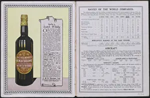 Statistics: WW1 - The Stewart Blotter - advert and naval information