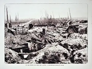 Arterra - Collection Philippe Clément: WW1 - Trenches and broken trees of forest after bombardment