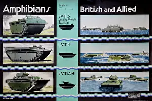 Amphibians: WW2 - Amphibians