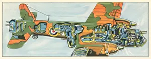 Nicolson: WW2 British Bomber In Section