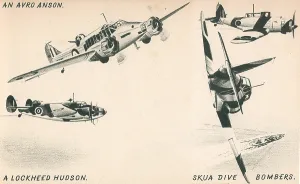 Skua: WW2 British Combat Aircraft