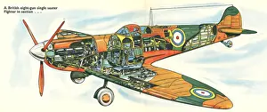 Nicolson: WW2 British Fighter Plane In Section