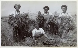 Sheaves: WW2 - British Land Girls at work