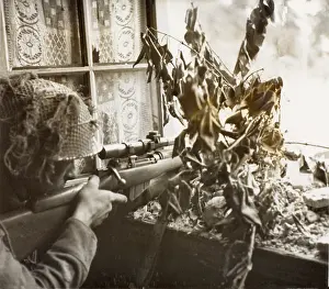 Collected: WW2 - British sniper watching for enemy movement in Caen