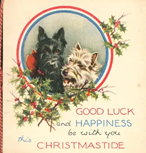 Westie: WW2 Christmas Card