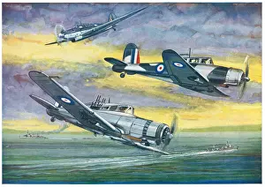 Skua: WW2 Fleet Fighters