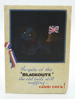 Springy: WW2 Greetings Card, Blackout Dog