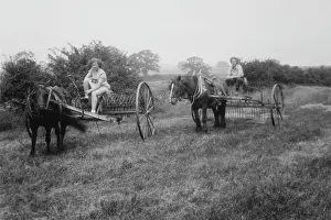 Bpeosa: WW2 - Haymaking with horses at Stevington