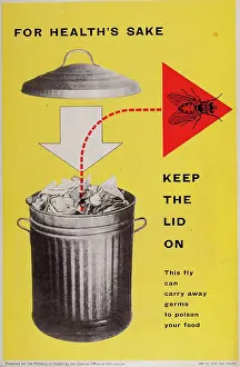 Dustbin: WW2 - for health's sake, keep the lid on
