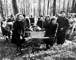 Wald: WW2 - holocaust - death - Germany