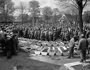 Wald: WW2 - holocaust - death - Germany