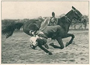 Excercises: WW2, Horsemanship