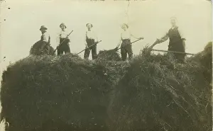 Haymaking: WW2 Land Army - Haymaking