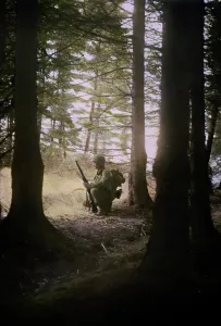 Pausing: WW2 - military - Battle of the Bulge