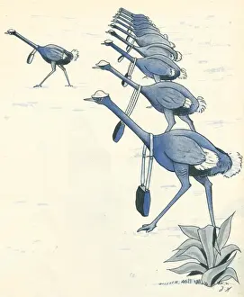 Unison: WW2 Ostrich March