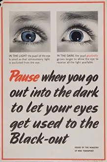 Blackout: WW2 - Pause When You Go Out