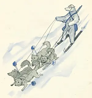 Strengthened: WW2 Polar Bear On Skis