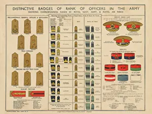 Armlet: WW2 Poster -- Army Officer and other badges