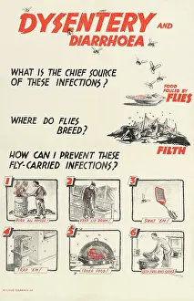 Pests: WW2 Poster -- Dysentery and Diarrhoea