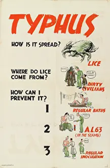Aimed: WW2 Poster -- Typhus, How Is It Spread?