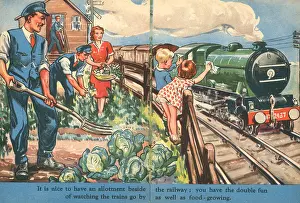 WW2, Railway Allotment