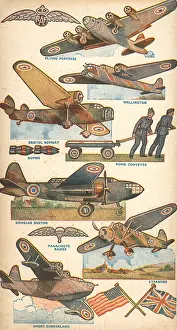 Lysander: WW2 Royal Air Force Pictures