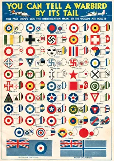 Warbird: WW2, You Can Tell A Warbird By It's Tail