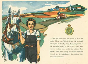 Nicolson: WW2, Women's Land Army