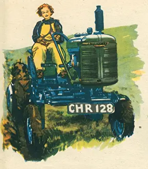 Nicolson: WW2, Women's Land Army Tractor Driver