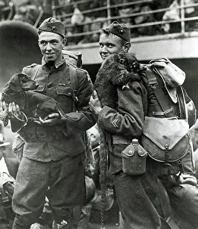 Dogface: WWI, AEF Doughboys with Their Pets, 1917