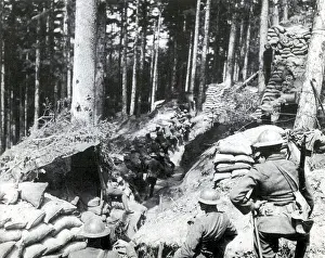 Dogface: WWI, AEF Holding Trench