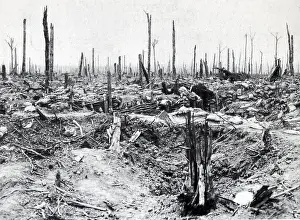 Messines: WWI, Battle of Messines Ridge, 1917