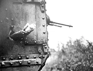 Vital: WWI, British Carrier Pigeon