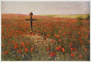 Poignant: WWI - circa 1919 - Poppy Field