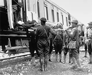 Dogface: WWI, Hospital Train, 1918