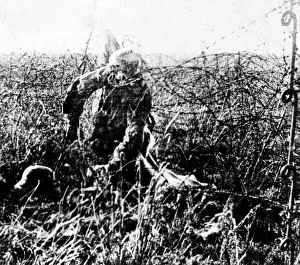 Ghostly: WWI, No Man's Land