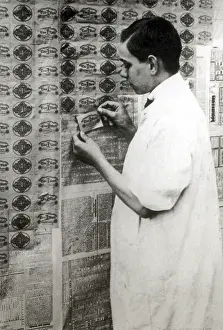 Bills: WWI, Post-War German Banknotes as Wallpaper