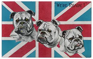 We Re: WWI Postcard - Bulldogs