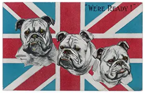We Re: WWI Postcard - Bulldogs