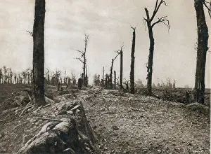 Guillemont: WWI, Ruins of Somme, 1916