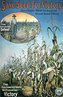 Reduce: 'WWI, 'Save Seed For Victory'