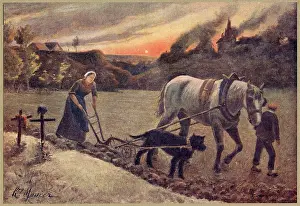 Rage: WWI/WOMAN PLOUGHING