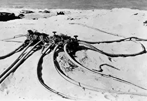 Ensuring: WWII - North African Campaign 1943