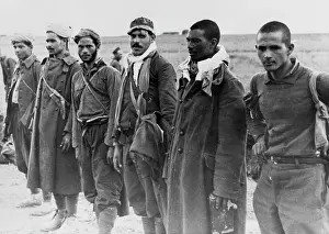 Skinned: WWII - North African Campaign 1943