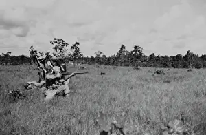 389th: WWII - soldier - army