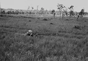 389th: WWII - soldier - army