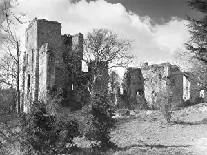 Wykeham: WYKEHAM'S PALACE RUINS