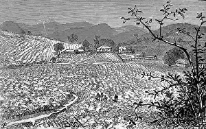 Goldfields: The Wynaad Goldfields, Southern India. View of the Richmond