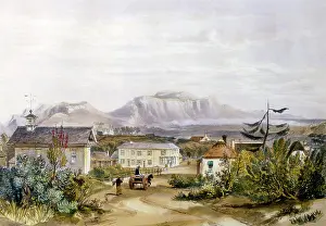 Wynberg: Wynberg, 1849