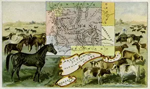 Wyoming: Wyoming Ranching